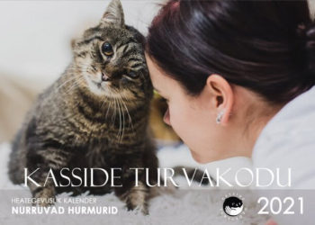 Hurm for the Holidays (and Beyond)