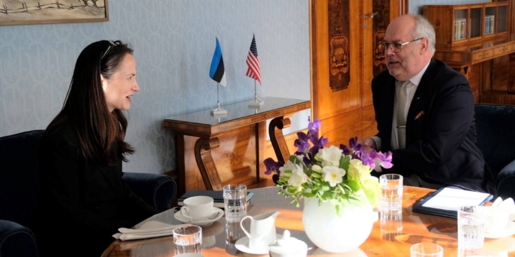 VES Nr. 20 (3785): Finland and Sweden Submit NATO Membership Applications, U.S. Intelligence Chief Visits Estonia, and more…
