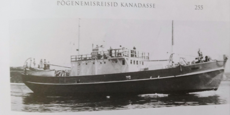 Voyages Against All Odds