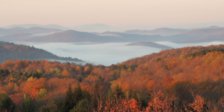 Connecticut Estonian Society Talgud and Annual Meeting