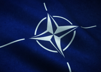 Karl Altau: Ukraine’s NATO Opportunity is a Chance for the West