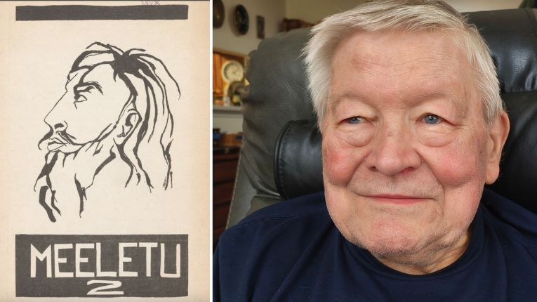 Eesti kanapuljong Ameerika hernesupis