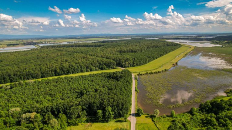 Kas tehisaru vastusest piisab, kui kaalul on meie joogivesi?